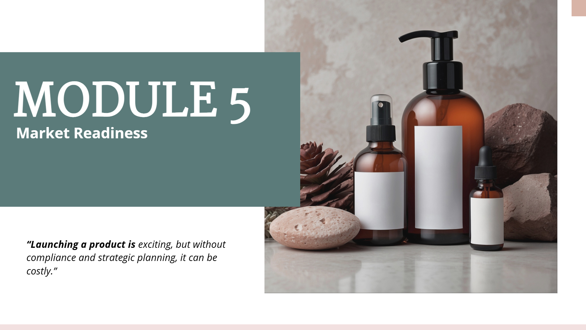 Foundations of Skincare Product Development - Module 5 Market Readiness